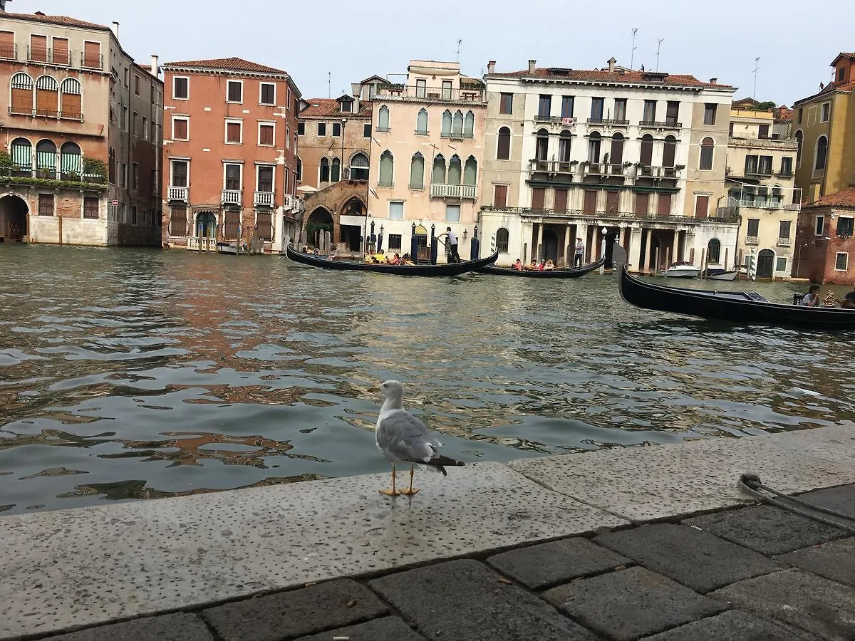 Palazzo Lion Morosini - Check In Presso Locanda Ai Santi Apostoli Venice Guest house